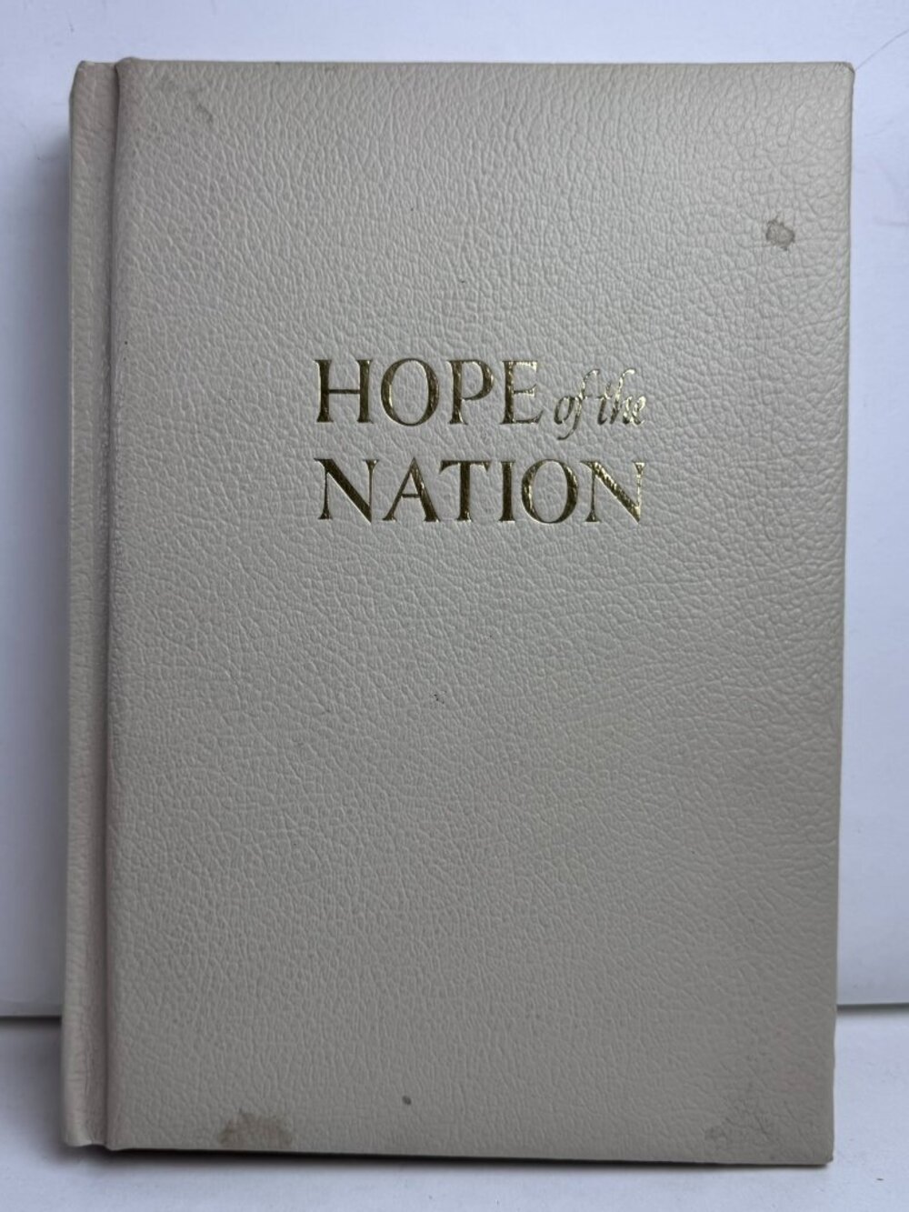 Hope of the Nation Keyes & Gallagher Goodwill Illustrated Vintage Book HC